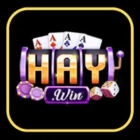 logo haywin